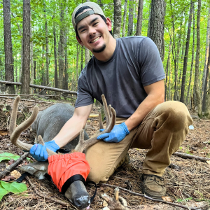 George Goto is holding the antlers in velvet of a blindfolded, temporarily immobilized deer for research.